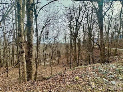 Property for sale in Watauga County, North Carolina