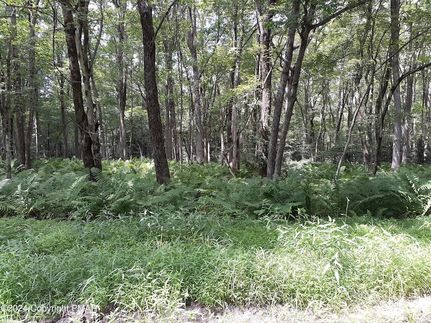 Undeveloped Land for sale in Carbon County, Pennsylvania