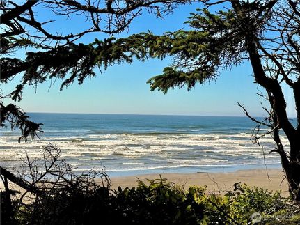 Undeveloped Land for sale in Grays Harbor County, Washington