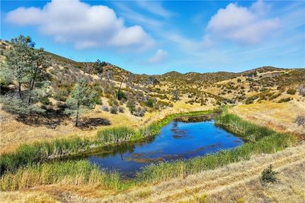 Undeveloped Land for sale in Lake County, California