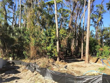 Undeveloped Land for sale in Pinellas County, Florida