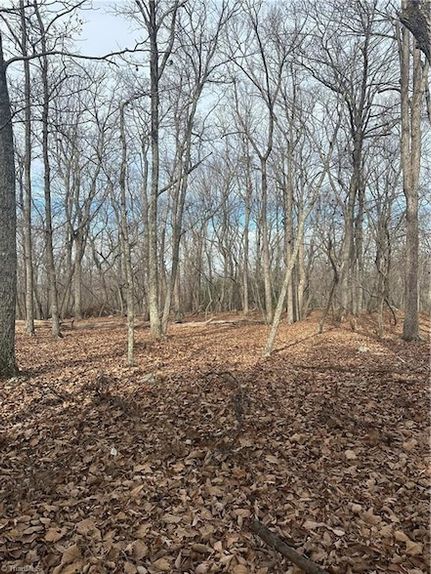 Property for sale in Davidson County, North Carolina