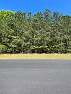 Undeveloped Land for sale in Greenwood County, South Carolina