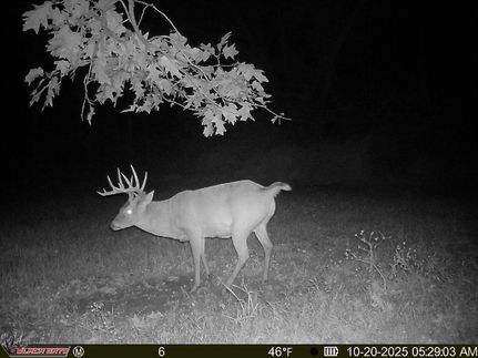 Hunting Land for sale in Alexander County, Illinois