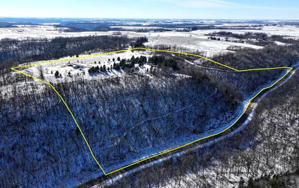 Hunting Land for sale in Wabasha County, Minnesota