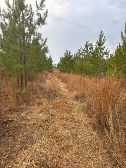 Farm Property for sale in Lexington County, South Carolina