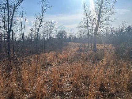 Property for sale in Dent County, Missouri