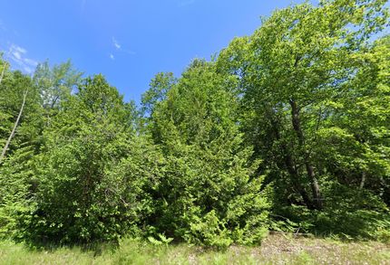 Property for sale in Iosco County, Michigan