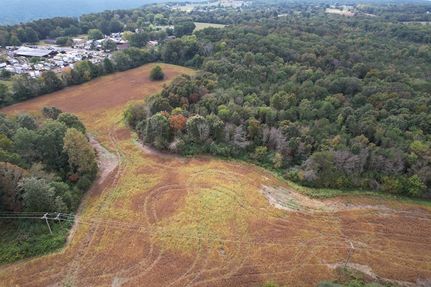 Property for sale in DeKalb County, Alabama