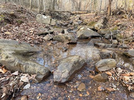 Property for sale in Stone County, Arkansas