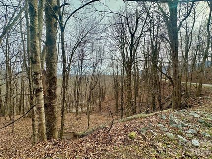 Undeveloped Land for sale in Watauga County, North Carolina