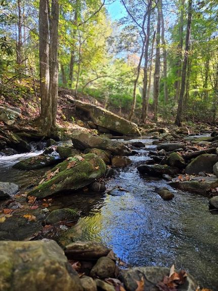 Property for sale in Cherokee County, North Carolina