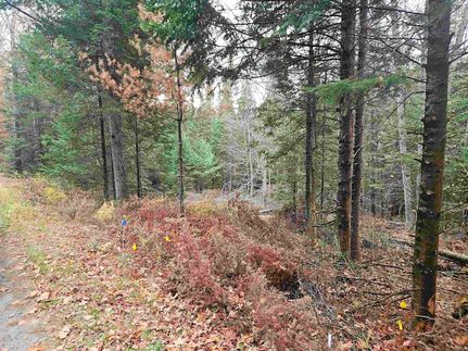 Property for sale in Grafton County, New Hampshire