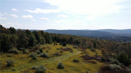 Undeveloped Land for sale in Otsego County, New York