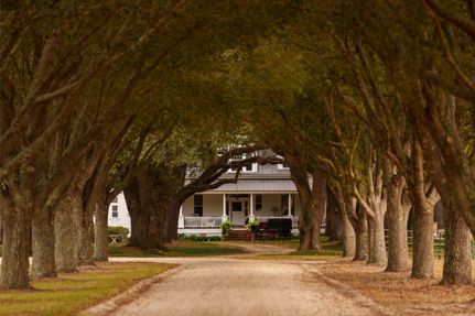 Horse Property for sale in Hampton County, South Carolina