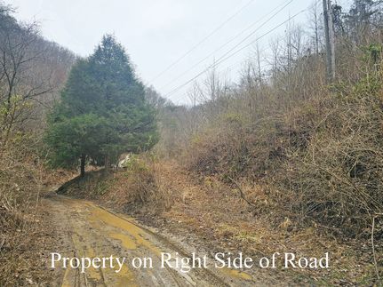 Recreational Property for sale in Wayne County, West Virginia
