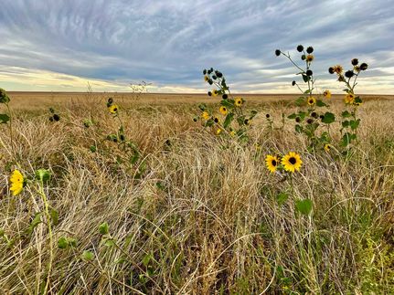 Ranch Property for sale in Kiowa County, Colorado