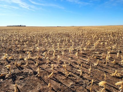 Hunting Land for sale in Kimball County, Nebraska