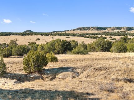 Undeveloped Land for sale in Las Animas County, Colorado