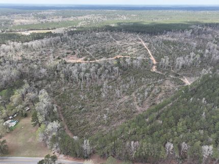 Hunting Land for sale in Rapides Parish, Louisiana