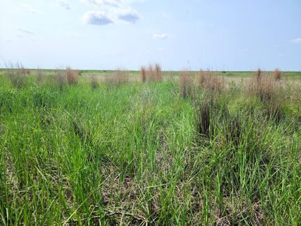 Property for sale in Kiowa County, Colorado