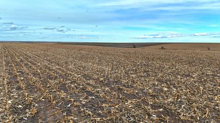 Hunting Land for sale in Kit Carson County, Colorado