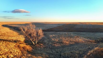 Hunting Land for sale in Elbert County, Colorado