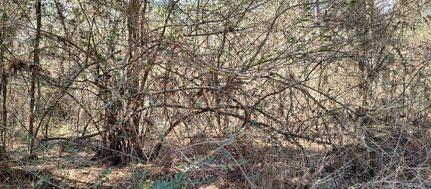 Property for sale in Pearl River County, Mississippi