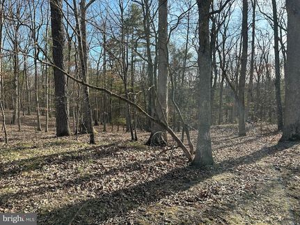 Undeveloped Land for sale in Hampshire County, West Virginia