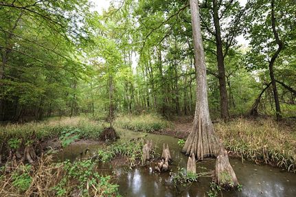 Property for sale in Grant Parish, Louisiana