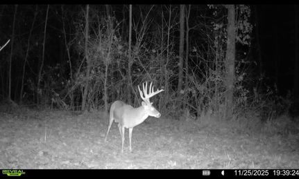 Hunting Land for sale in Lee County, Arkansas