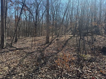 Property for sale in Ralls County, Missouri