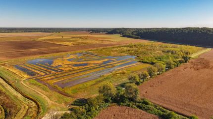 Property for sale in Greene County, Illinois