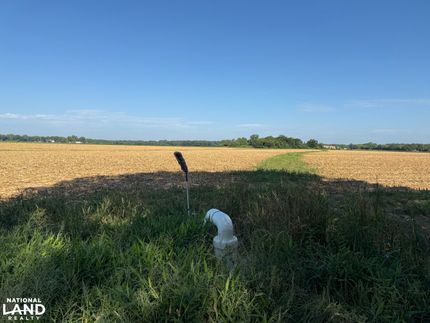 Property for sale in Richland Parish, Louisiana