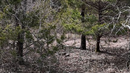 Property for sale in Le Flore County, Oklahoma