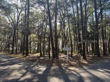 Undeveloped Land for sale in Beaufort County, South Carolina