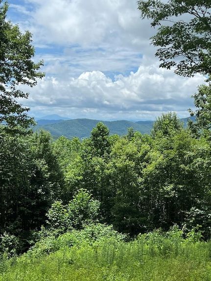 Property for sale in Grayson County, Virginia