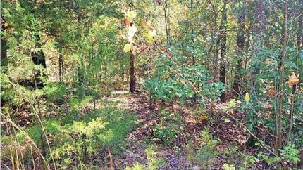 Property for sale in Fulton County, Arkansas