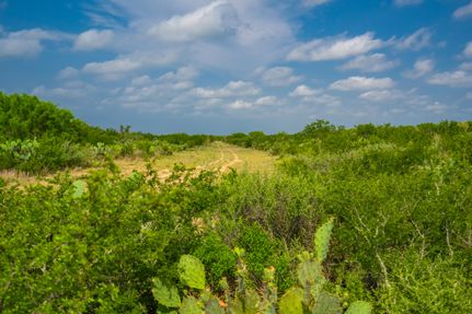 Property for sale in Jim Hogg County, Texas