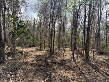 Undeveloped Land for sale in Saint Tammany Parish, Louisiana