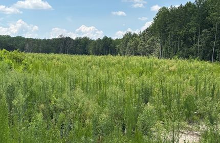 Property for sale in Lancaster County, Virginia