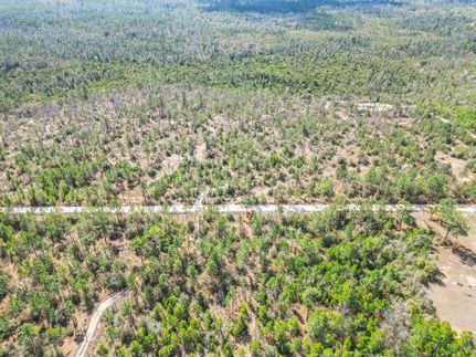 Hunting Land for sale in Calhoun County, Florida