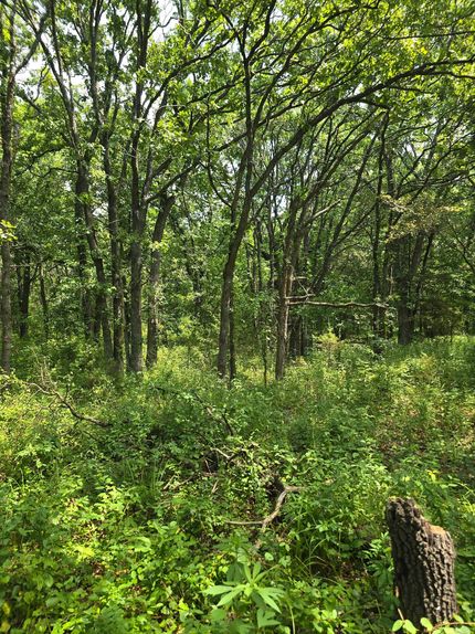 Property for sale in Wilson County, Kansas