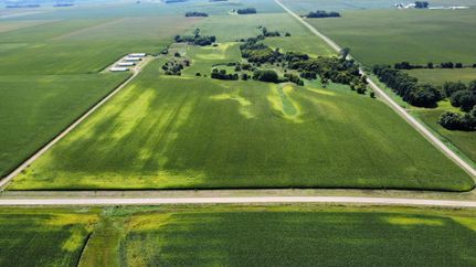 Hunting Land for sale in Martin County, Minnesota