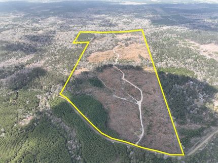 Hunting Land for sale in Jasper County, Texas