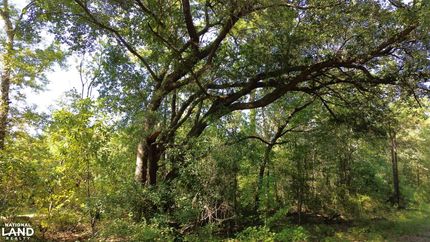 Timberland Property for sale in Colleton County, South Carolina