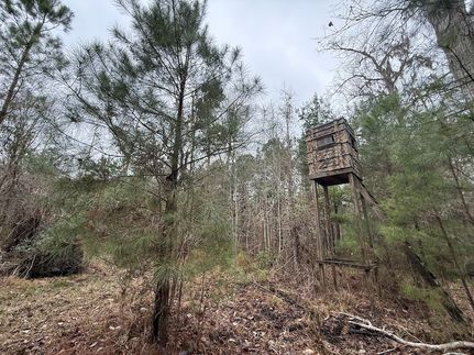 Timberland Property for sale in Colleton County, South Carolina