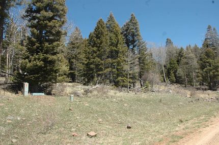 Undeveloped Land for sale in Colfax County, New Mexico