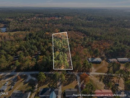 Undeveloped Land for sale in Harnett County, North Carolina