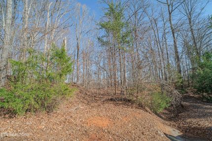 Undeveloped Land for sale in Roane County, Tennessee